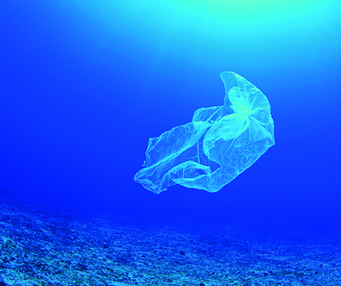 plastic bag under water