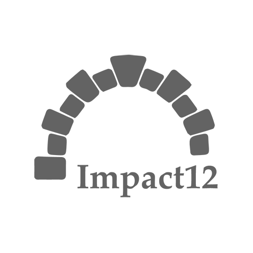 Impact 12 logo