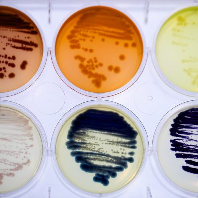 Colourtex Colorifix: Pioneering Eco-Friendly Textile Dyeing – Cambridge Enterprise